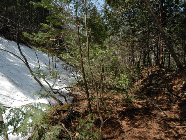 ����X�ѓS�����������,�V����ԏ�,�ѓS,�p����