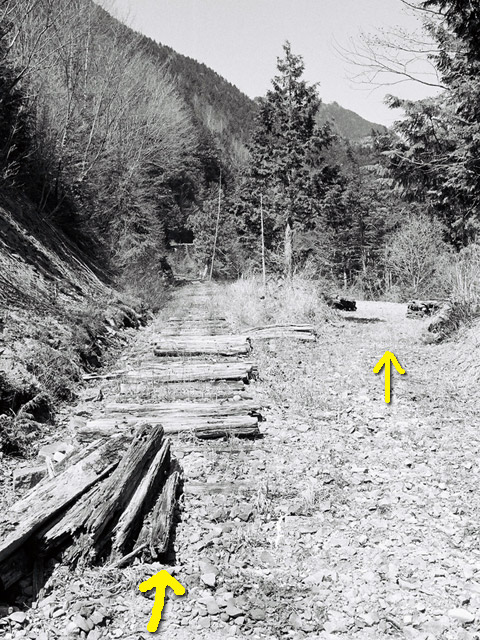 ��������X�ѓS��,�V����ԏ�,�ѓS,�p����,����c�я�,���ꑺ