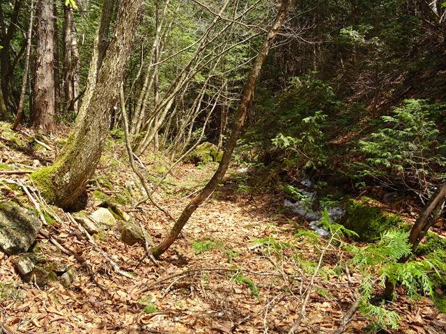 ��������X�ѓS��,�V����ԏ�,�ѓS,�p����,����c�я�,���ꑺ