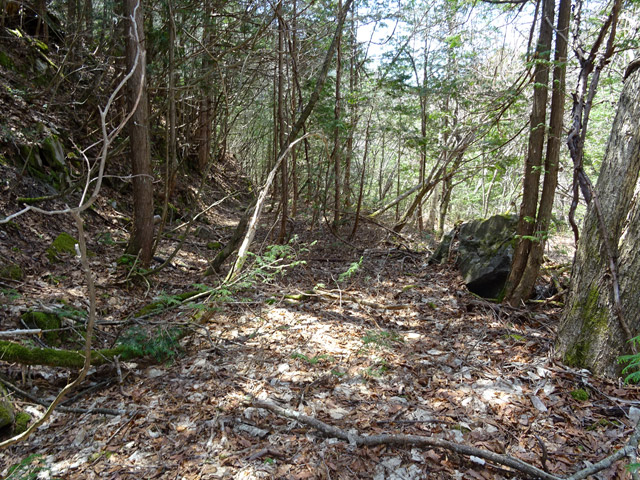 ��������X�ѓS��,�V����ԏ�,�ѓS,�p����,����c�я�,���ꑺ