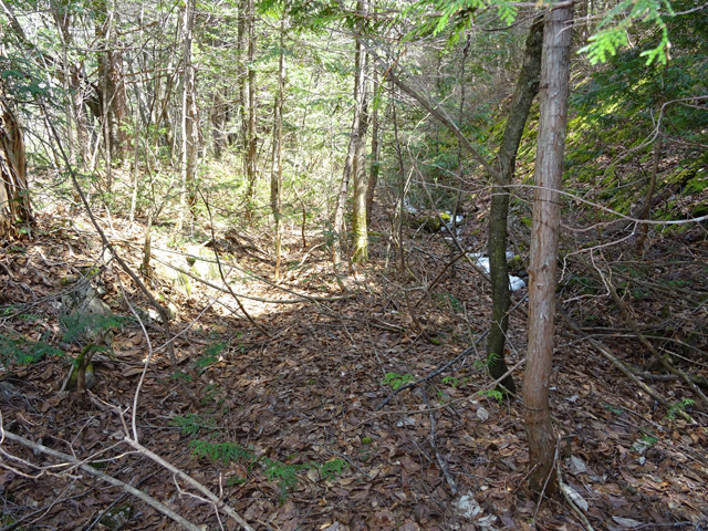 ��������X�ѓS��,�V����ԏ�,�ѓS,�p����,����c�я�,���ꑺ