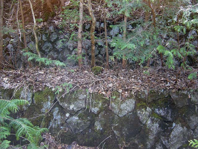 ��������X�ѓS��,�V����ԏ�,�ѓS,�p����,�Ί_,����