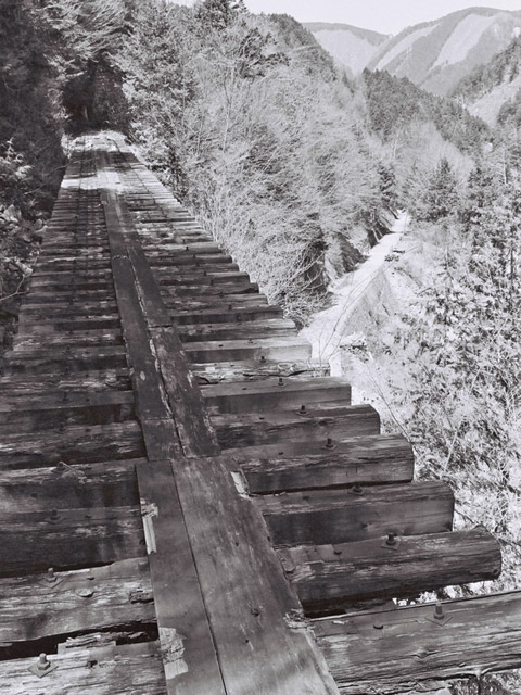 ��������X�ѓS��,�V��≺����,�ѓS,���[��,���H,�S��,�p����