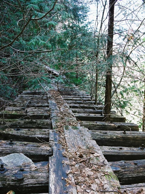 ��������X�ѓS��,�V��≺����,�ѓS,���[��,���H,�S��,�p����