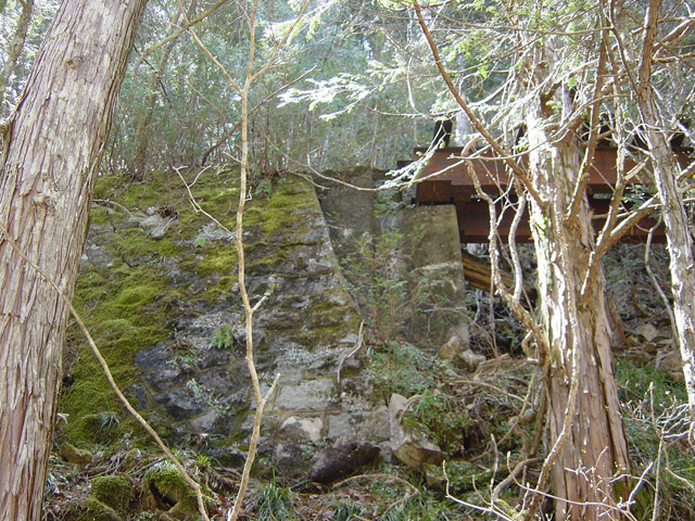 ��������X�ѓS��,�V��≺����,�ѓS,����,�K�[�_�[,�p����