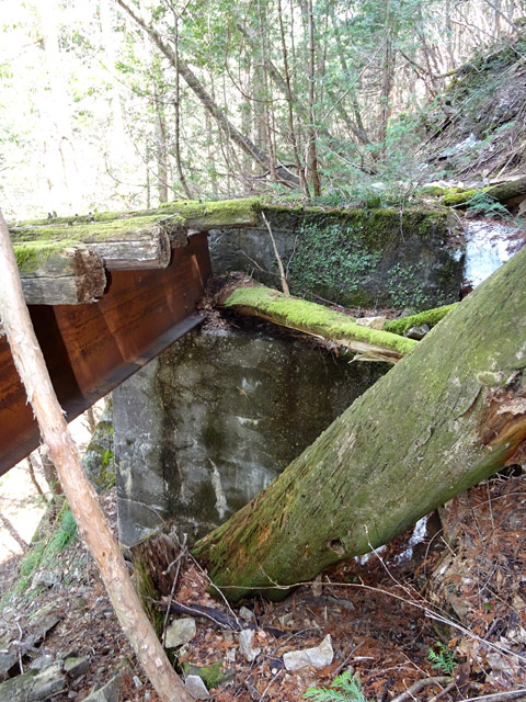 ��������X�ѓS��,�V��≺����,�ѓS,�|��,����,�K�[�_�[,�p����