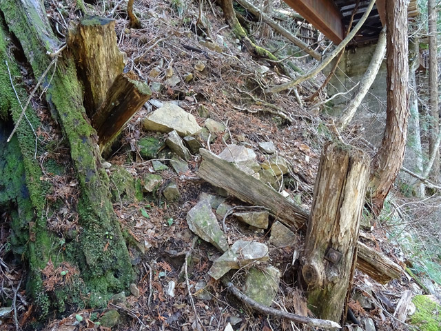 ��������X�ѓS��,�V��≺����,�ѓS,���r,�؋�,�p����