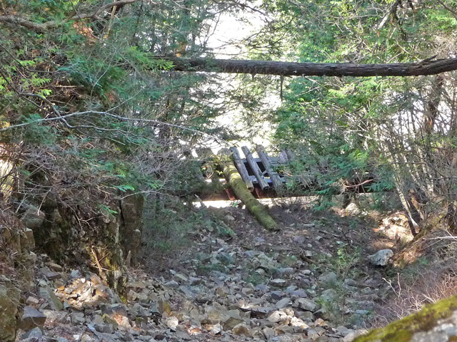 ����c�я�,���������,�V��≺����,�ѓS,�p����,�ؑ],�v���[�g�K�[�_�[