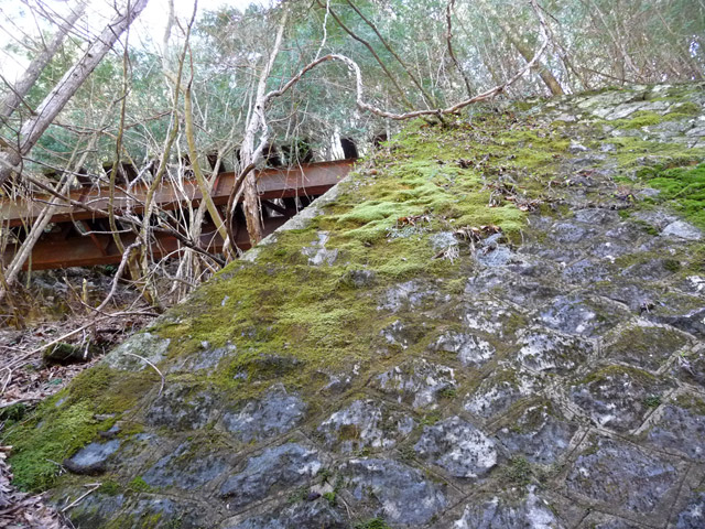 ����c�я�,�ؑ]�X�ѓS�����������,�V��≺����,�ѓS,�p����,����