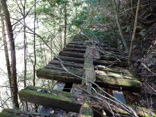 �ؑ]�X�ѓS��,���������,�S��,�ѓS,�p����,�V��≺����