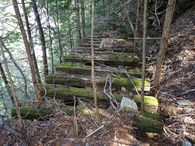 ��������X�ѓS��,�V��≺����,�ѓS,�p����,�ؑ]�X