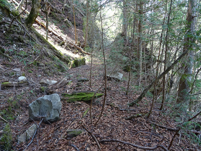 ��������X�ѓS��,�ѓS,�p����,����,�ؑ],����c�я�