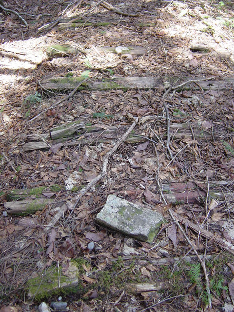 ��������X�ѓS��,�ѓS,�p����,����,�`���b�N��,�ؑ]�X