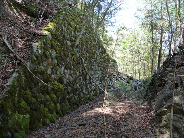 ��������X�ѓS��,�ѓS,�p����,����,�؂�ʂ�,�Ί_