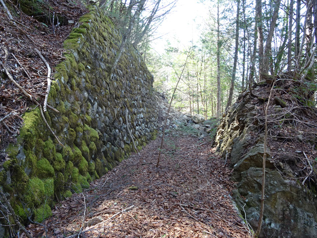 ��������X�ѓS��,�ѓS,�p����,����,�؂�ʂ�,�Ί_