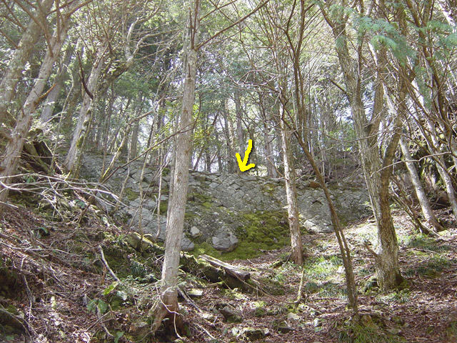 ��������X�ѓS��,�ѓS,�p����,����,����X�ѓS�����������,�O����