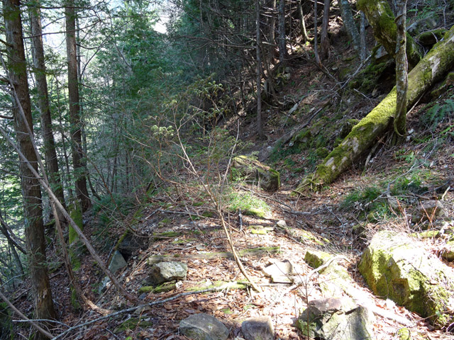 ��������X�ѓS��,�ѓS,�p����,����,�g���b�R�O����,�ؑ]�X