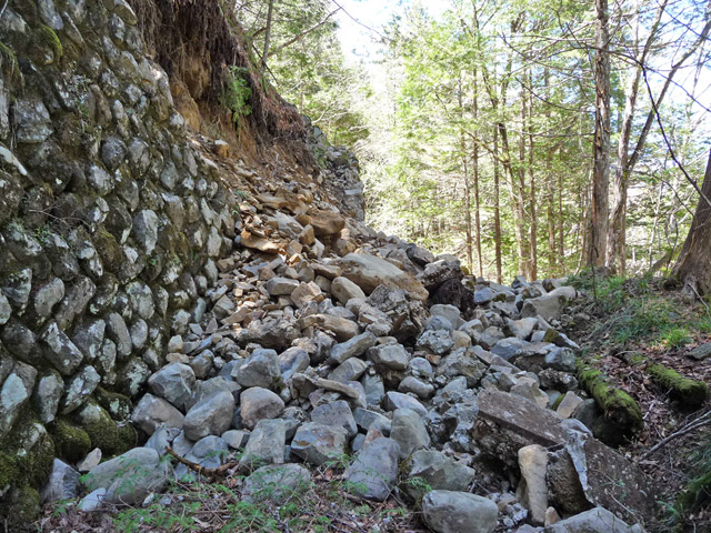 ��������X�ѓS��,�ѓS,�p����,�Ί_,�g���b�R�O����,�ؑ]�X