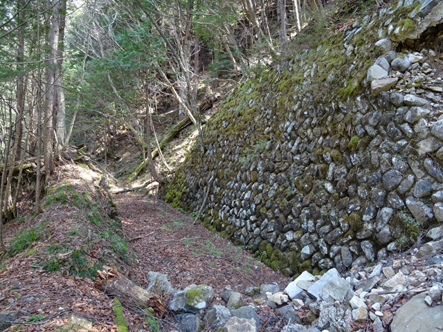 ��������X�ѓS��,�ѓS,�p����,�Ί_,�g���b�R�O����,����c�я�