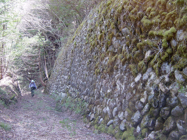 �E�O�C��X�ѓS��,�ѓS,�p����,�Ί_,�g���b�R�O����,����c�я�