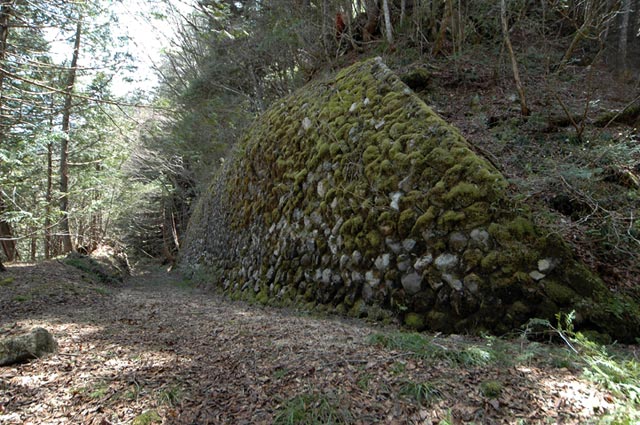 ��������X�ѓS��,�ѓS,�p����,�Ί_,�g���b�R�O����,�ؑ]�X