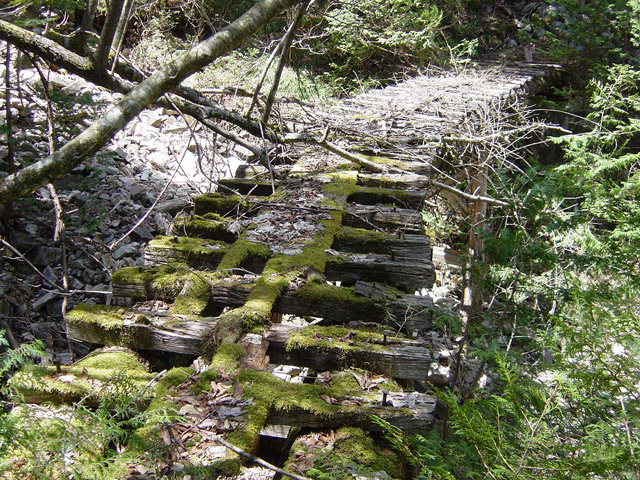 ��������X�ѓS��,�ѓS,�p����,�ؑ���,�g���b�R�O����,�V��