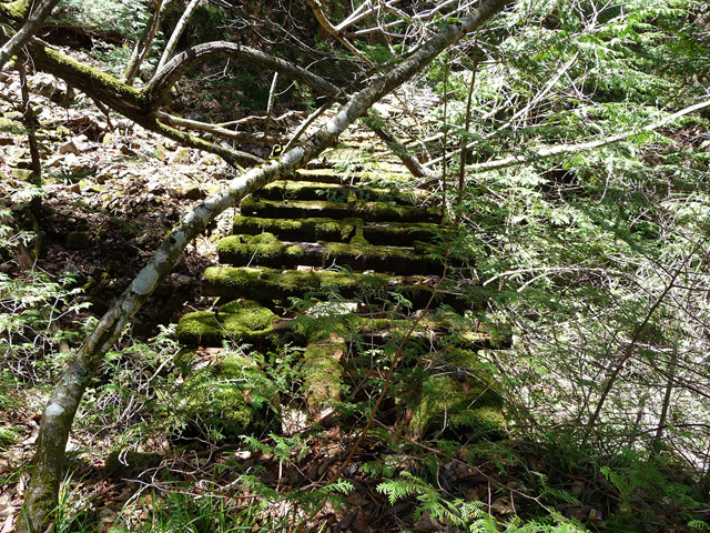 ��������X�ѓS��,�ѓS,�p����,�ؑ���,�g���b�R�O����,�V��