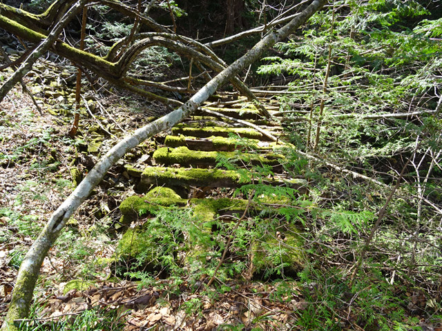 ��������X�ѓS��,�ѓS,�p����,�ؑ���,�g���b�R�O����,�V��