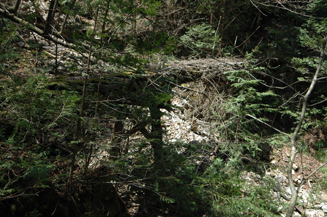 ��������X�ѓS��,�ѓS,�p����,�؋�,�g���b�R�O����,�V��