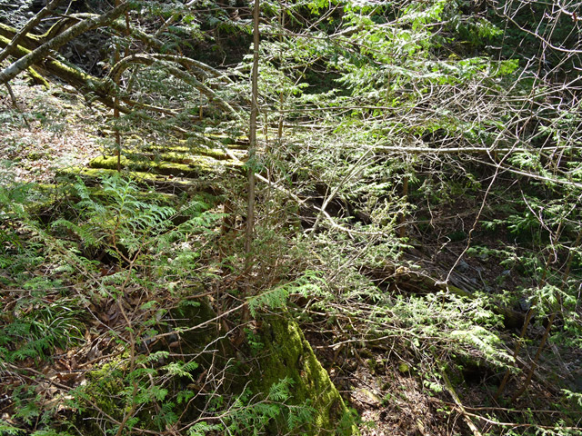 ��������X�ѓS��,�ѓS,�p����,�؋�,�g���b�R�O����,�V��