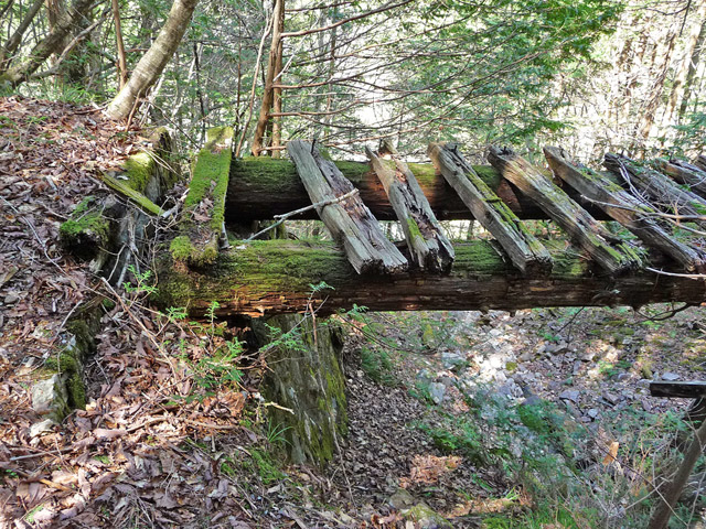 �ؑ]�X�ѓS���E�O�C���,�ѓS,�p����,�؋�,�V��,����