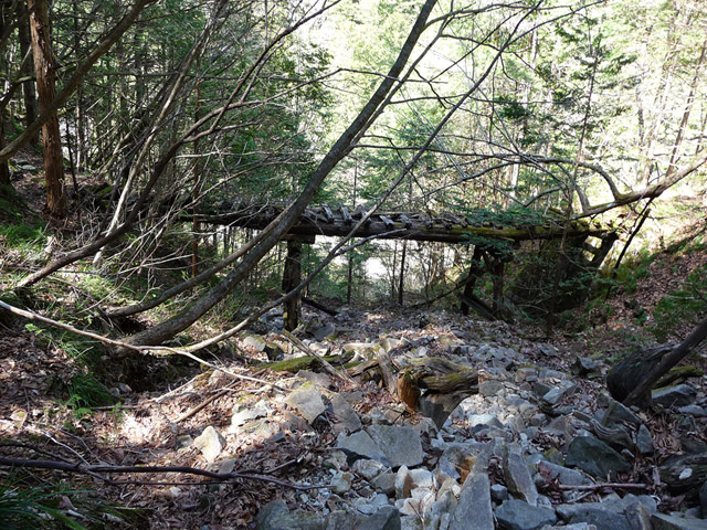 ��������X�ѓS��,�ѓS,�p����,�؋�,�g���b�R�O����,�V��