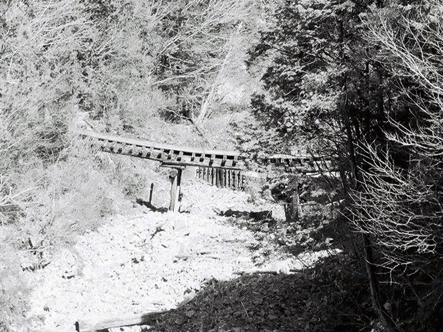 ��������X�ѓS��,�ѓS,�p����,�؋�,�g���b�R�O����,�V��