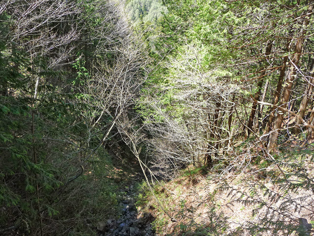 ��������X�ѓS��,�ѓS,�p����,�؋�,�g���b�R�O����,�V��