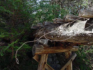 �ؑ]�X�ѓS�����������,�ѓS,�p����,�ؑ���,�g���b�R�O����,�V��