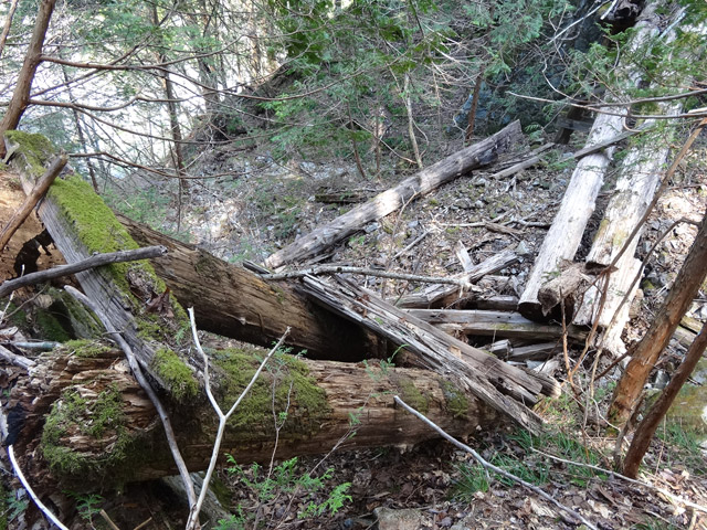 �ؑ]�X�ѓS�����������,�ѓS,�p����,�ؑ���,�g���b�R�O����,�V��