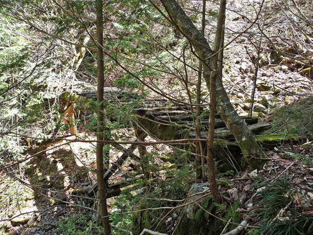 ��������X�ѓS��,�ѓS,�p����,�ؑ���,�g���b�R�O����,�V��