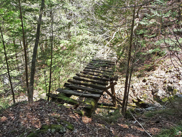 �E�O�C��X�ѓS��,�ѓS,�p����,�؋�,�g���b�R�O����,����c�я�