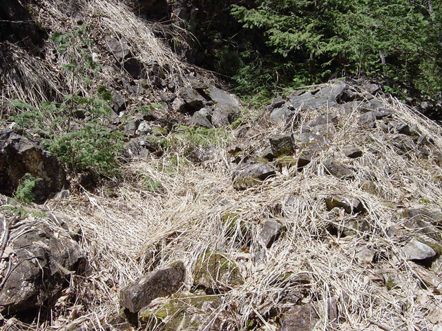 �ؑ]�X�ѓS�����������,�ѓS,�p����,�g���b�R�O����,�H��,�ѓ�