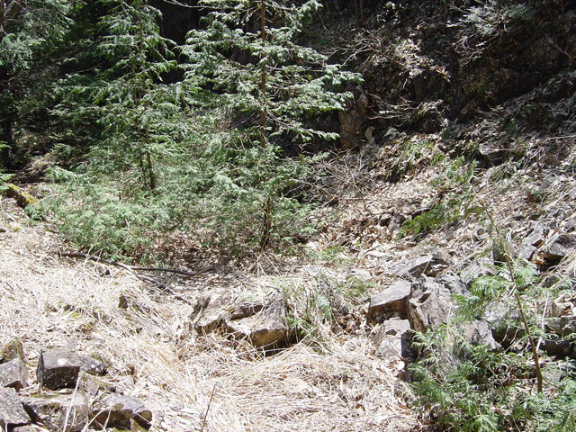 �ؑ]�X�ѓS�����������,�ѓS,�p����,�g���b�R�O����,�H��,�ѓ�