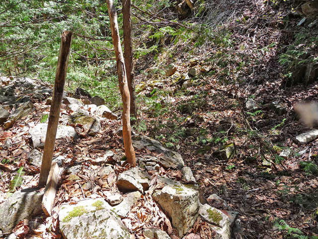 ��������X�ѓS��,�ѓS,�p����,�H��,���Β��ӕW��,�ؑ]�X