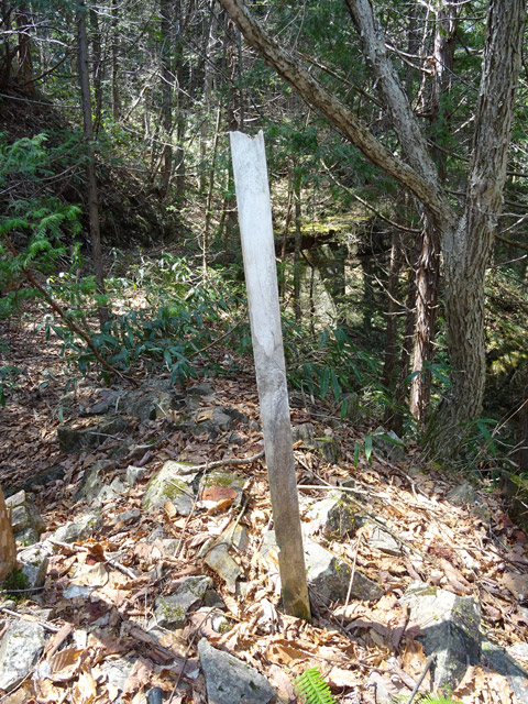 ��������X�ѓS��,�ѓS,�p����,�H��,���Β��ӕW��,�ؑ]�X