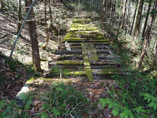 ��������X�ѓS��,�ѓS,�p����,�Ί_,�g���b�R�O����,�ؑ]�X