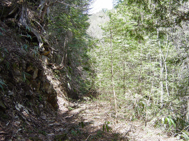 ��������X�ѓS��,�ѓS,�p����,�ѓ�,���ꑺ,�ؑ]�X