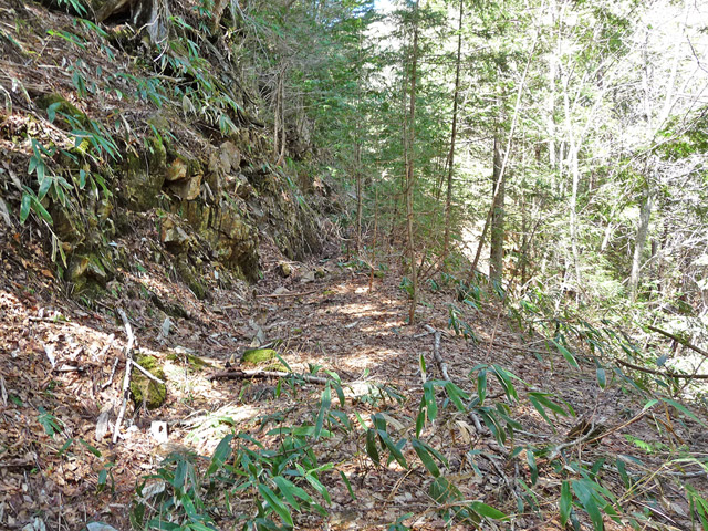 ��������X�ѓS��,�ѓS,�p����,�ѓ�,�H��,�ؑ]�X