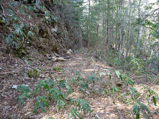 ��������X�ѓS��,�ѓS,�p����,�ѓ�,�y�؋O��,�ؑ]�X