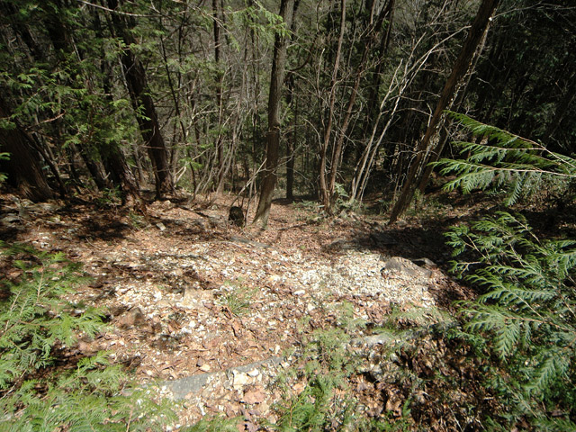 ��������X�ѓS��,�ѓS,�p����,�ѓ�,�y�؋O��,���i