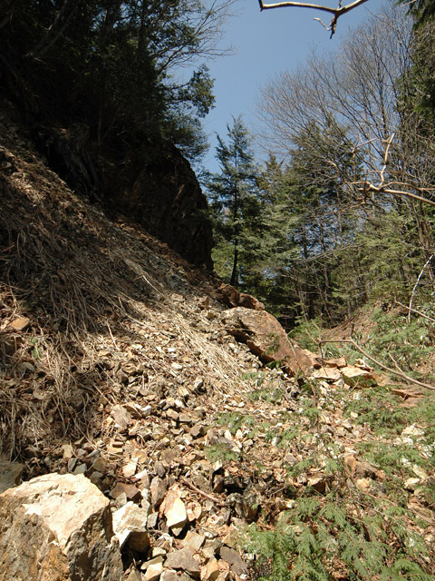 ��������X�ѓS��,�ѓS,�p����,�ѓ�,�y�؋O��,����