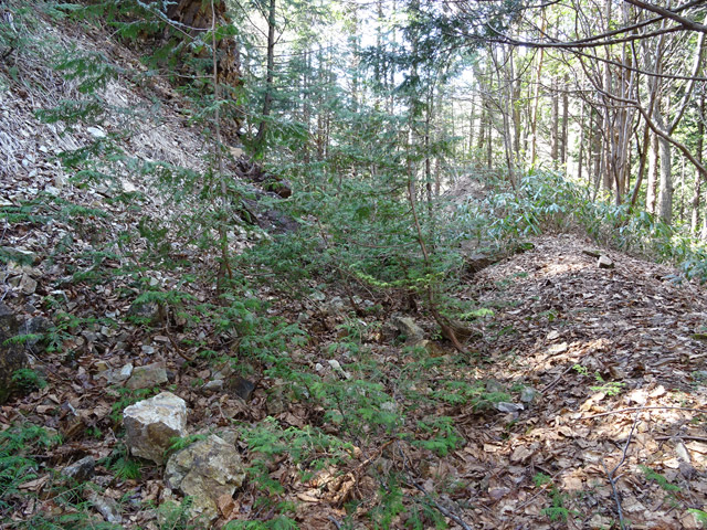 ��������X�ѓS��,�ѓS,�p����,���ꑺ,�y�؋O��,����