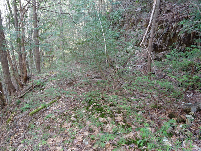 ��������X�ѓS��,�ѓS,�p����,����c�я�,�y�؋O��,�H��